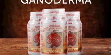 GANODERMA
